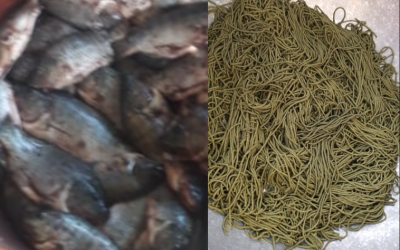 Low-cost feed from invasive species – Blackchin Tilapia