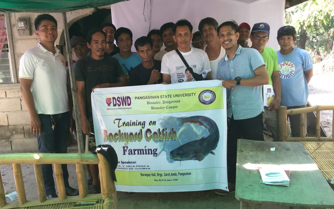 Training on Backyard Catfish (Clarias gariepinus) Farming